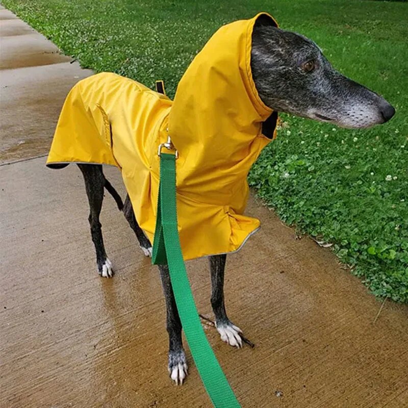 Fleece Lined Greyhound Rain Coat