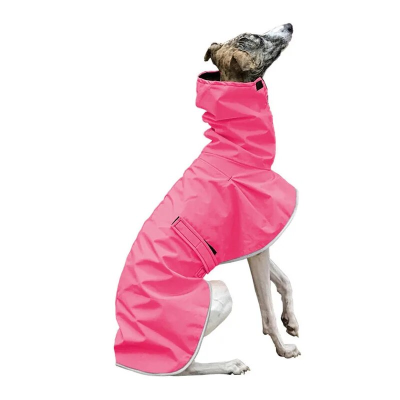 Pink Greyhound rain coat