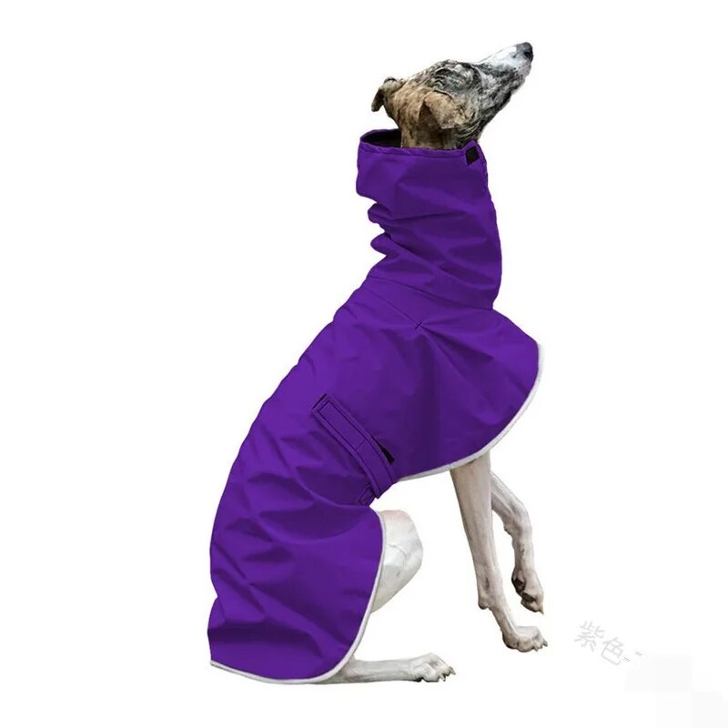 Purple Greyhound Raincoat