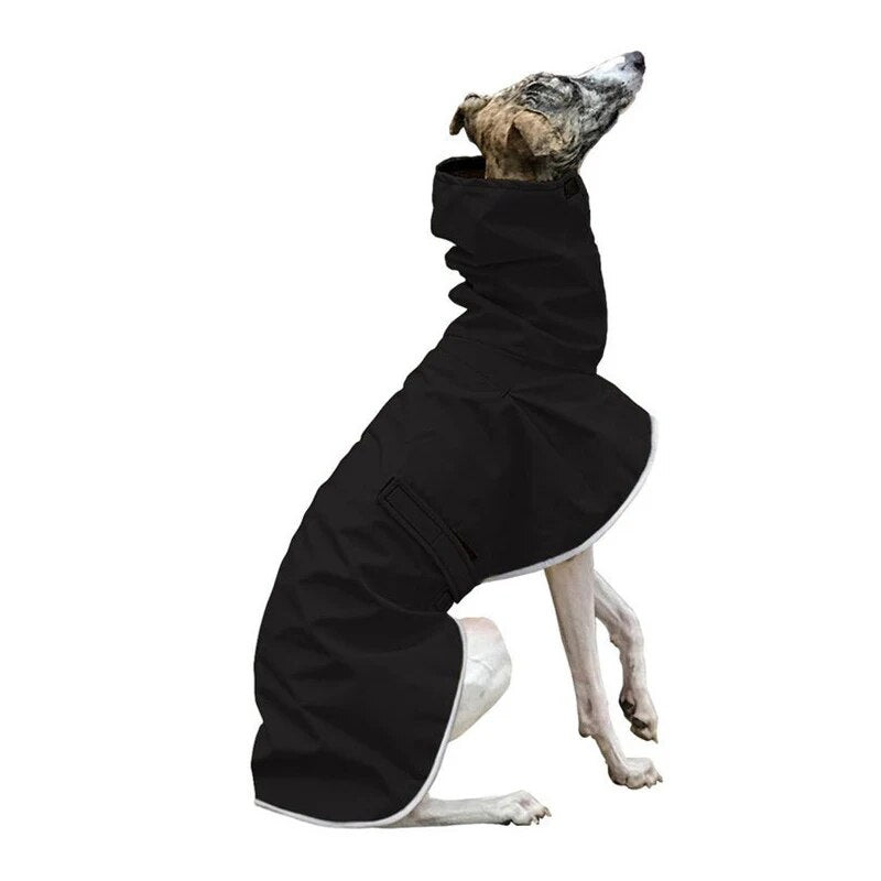 Black Greyhound Raincoat