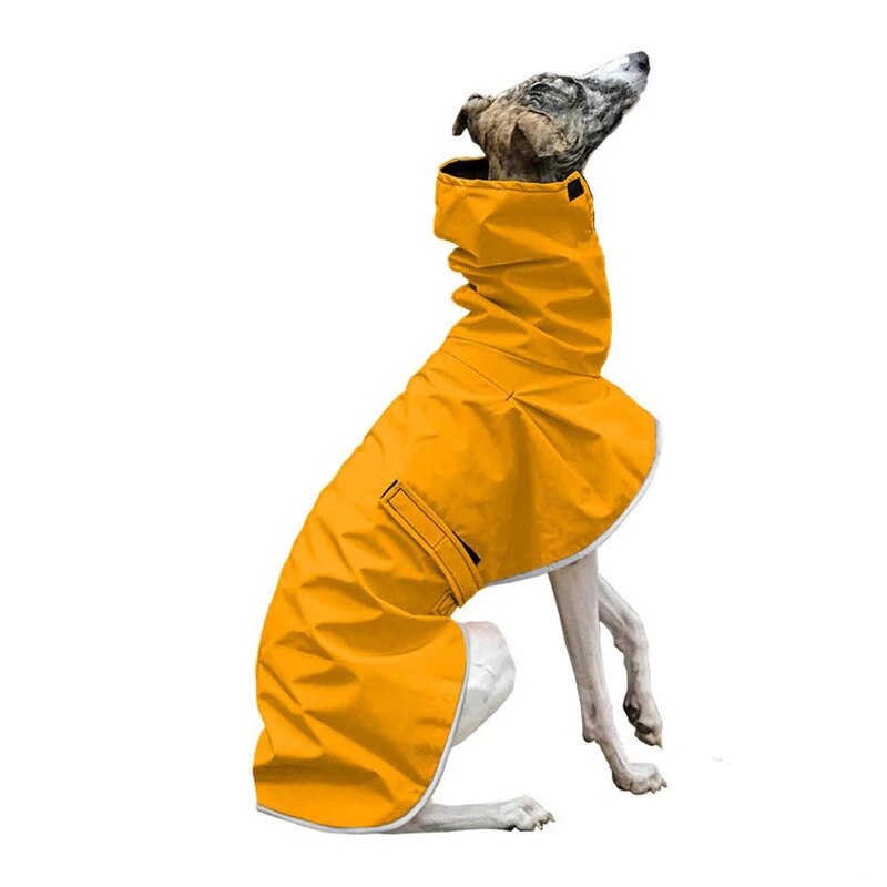 Yellow Greyhound Rain Coat