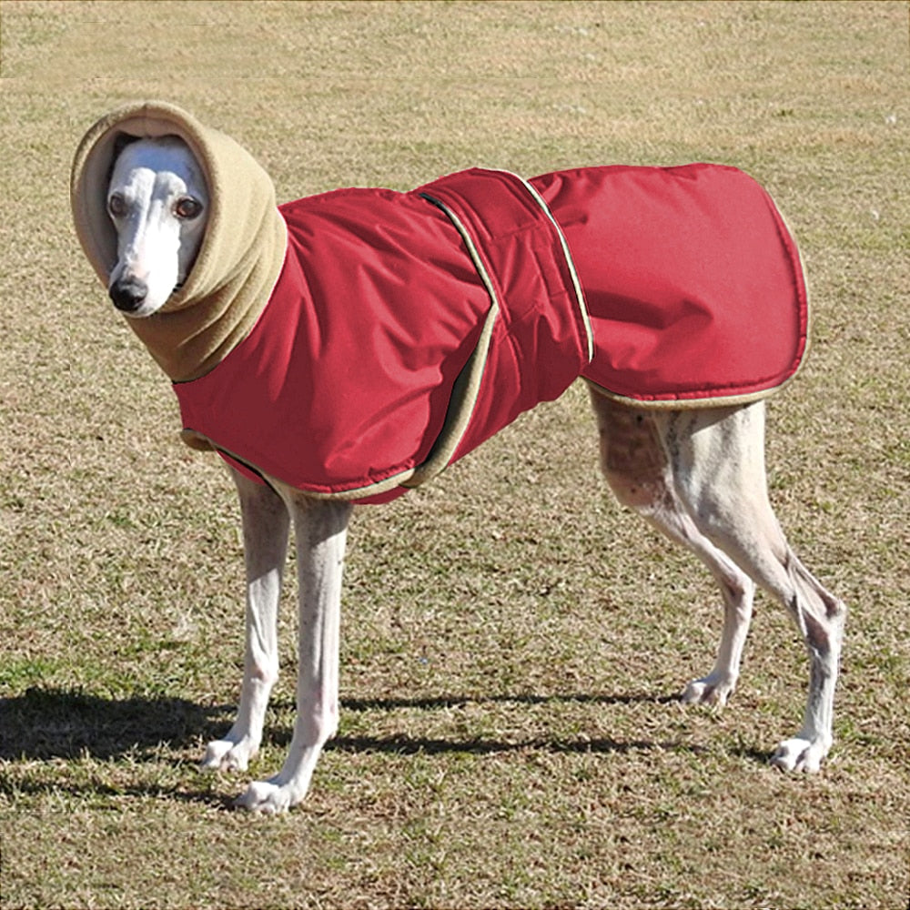 Products Fleece Lined Wind and Splash Proof Greyhound Coat red
