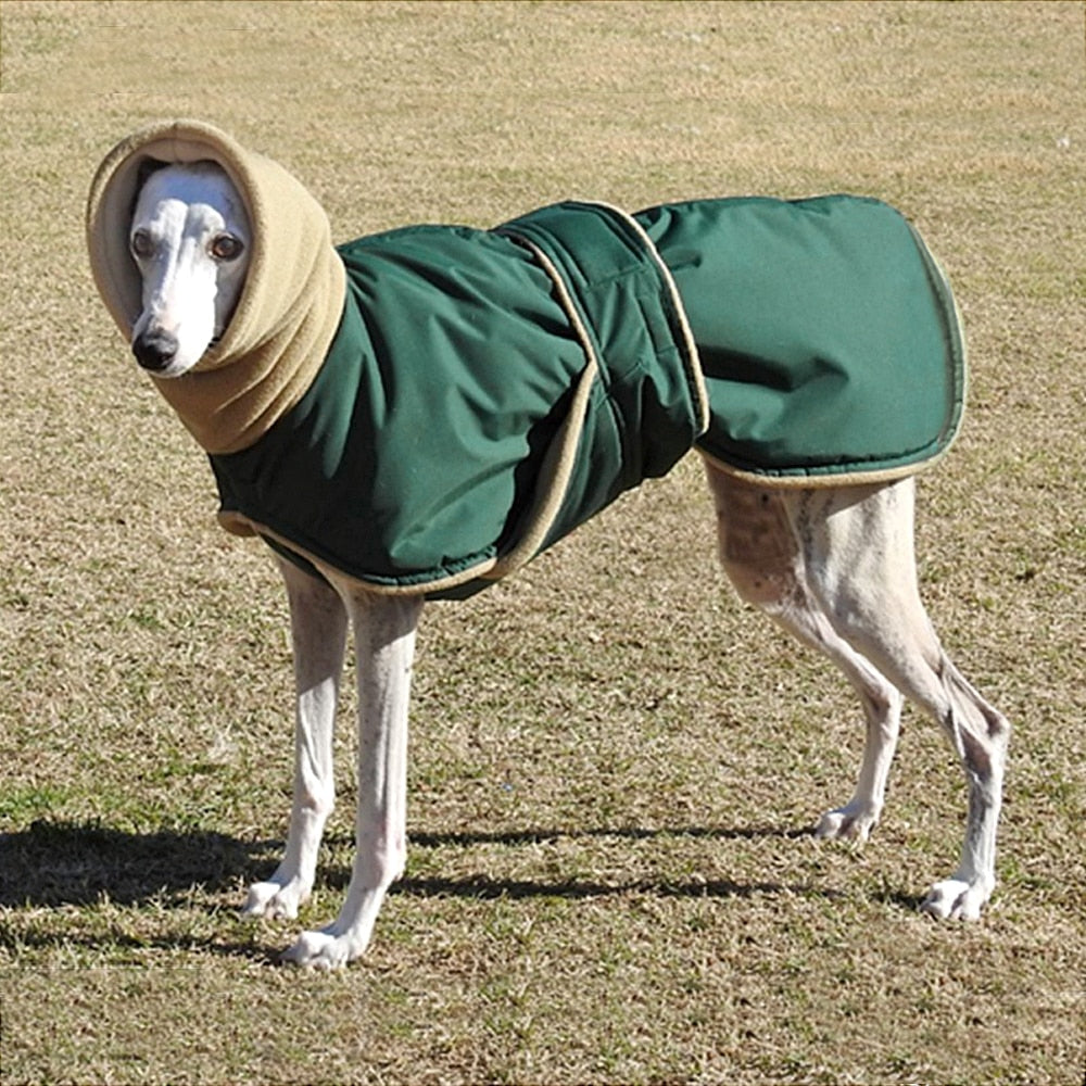 Products Fleece Lined Wind and Splash Proof Greyhound Coat green