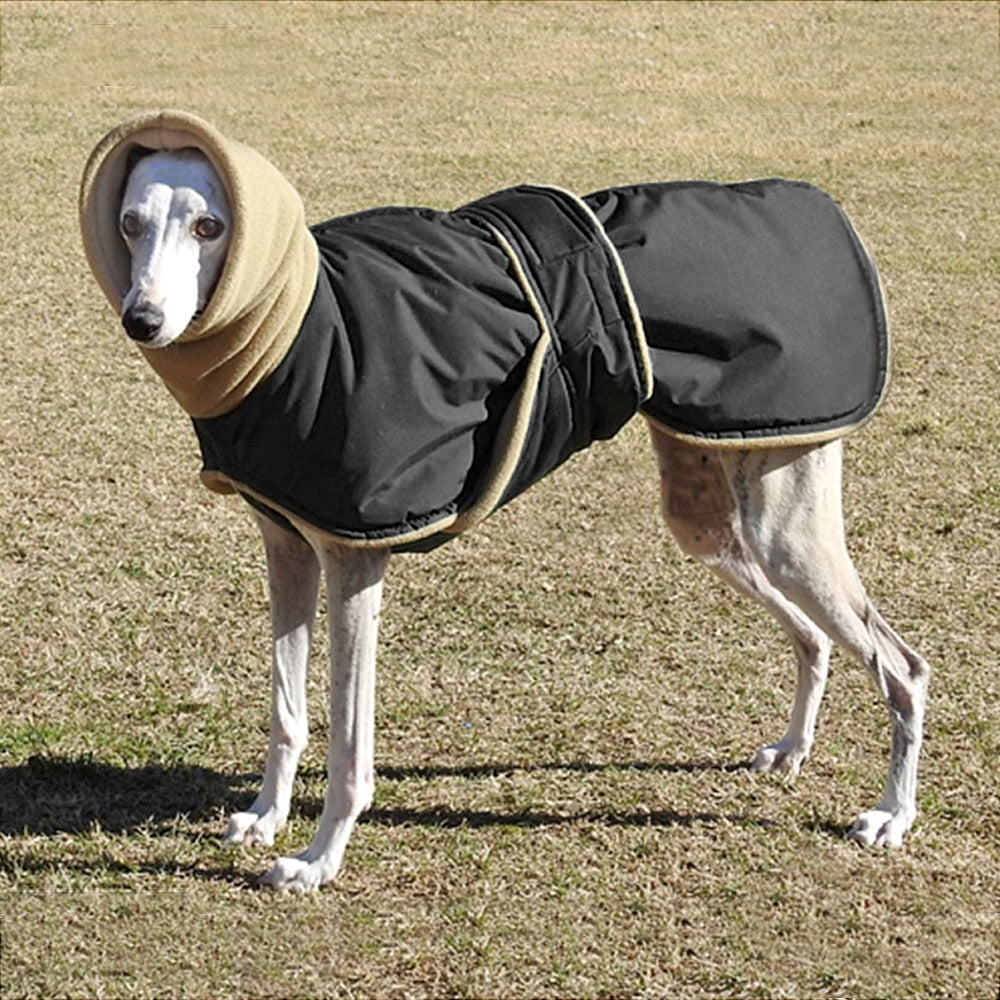 Products Fleece Lined Wind and Splash Proof Greyhound Coat black