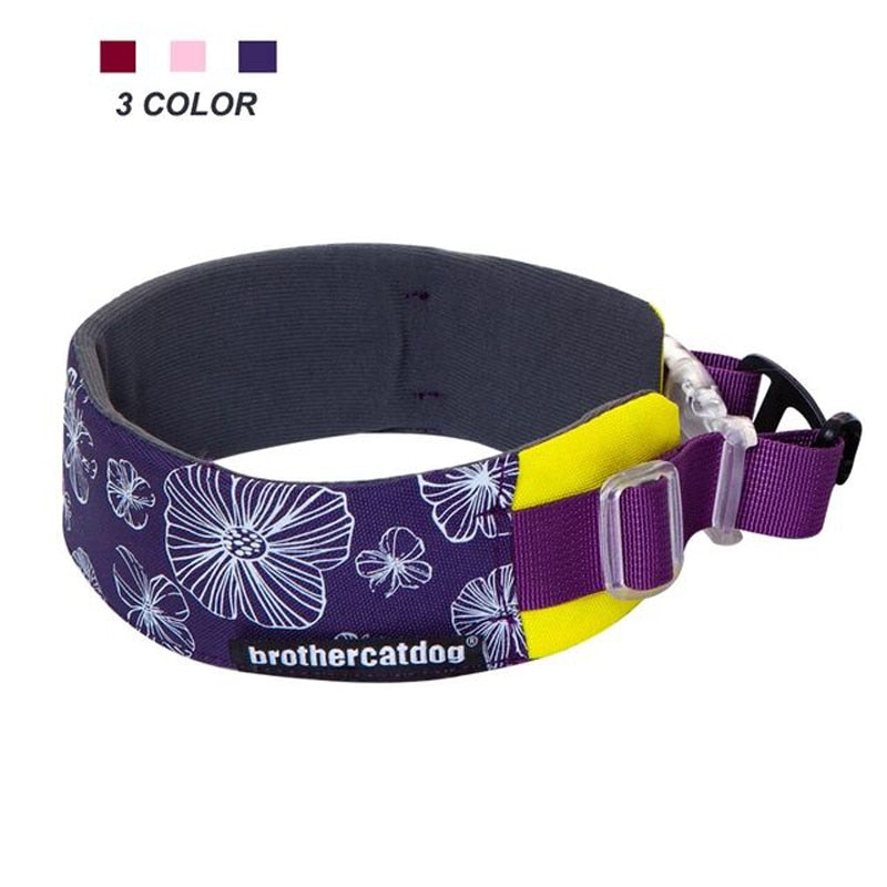 Patterned Martingale Collar greyhound