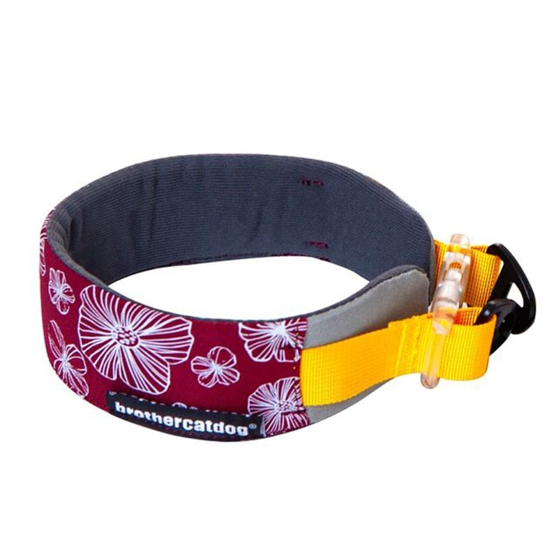 Patterned Martingale Collar greyhound