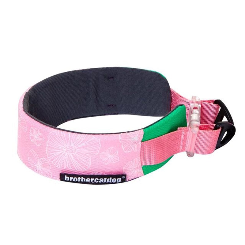 Patterned Martingale Collar pink greyhound